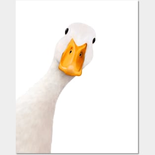 Goose Posters and Art